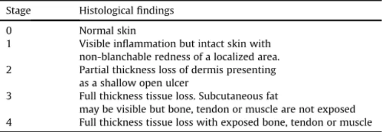 Fig. 1. A) A 3 cm long avulsed tail ﬂap and the underlying tendon and dorsal vascular structures