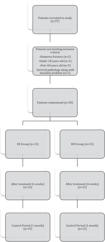 Fig. 1. Flow Chart of the study.