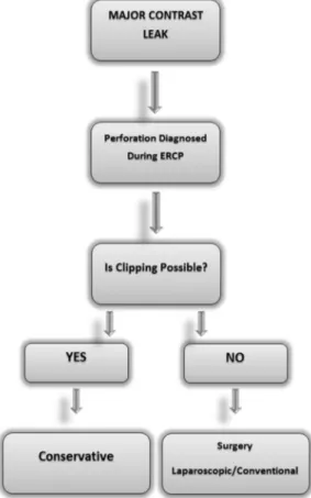 Figure 2. A simple management algorithm for the ERCP-related perforations.