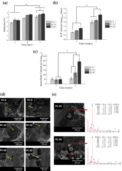 FIGURE 2 In vitro analysis for viability of cells on scaffolds during 7 days of incubation in growth media (a), ALP activity (b), intracellular calcium concentration (C) of human fetal osteoblast (hFOB) cells on scaffolds that were incubated in osteogenic 
