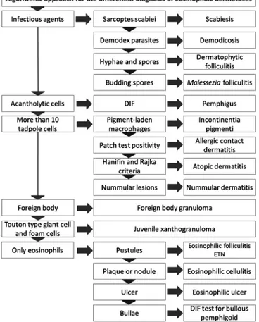 Figure 1. Algorithmic approach for eosinophilic dermatosis  diagnoses according to the Tzanck smear test and clinical  and laboratory findings