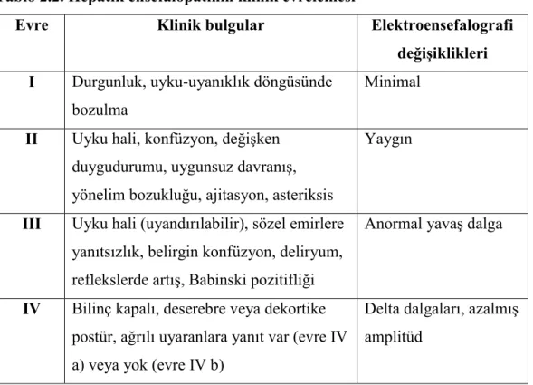 Tablo 2.3. Dört yaşından küçük çocuklar için hepatik ensefalopati evrelemesi 