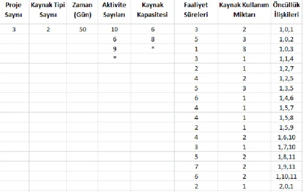 Şekil 5.3 Veri Giriş Dosyası