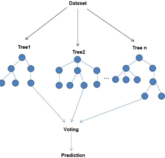 Fig 1.7 Graphical representation of Random Forest Algorithm 