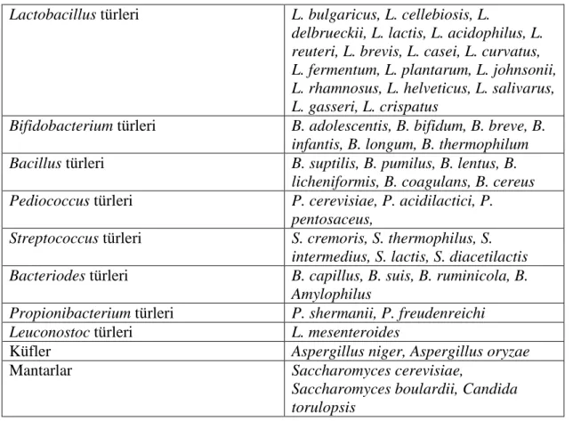 Tablo 2.3.  Probiyotik olarak kullanılan mikroorganizmalar 