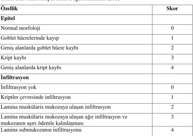 Tablo 3.1. Mikroskopik Kolit  Değerlendirmesi (205) 