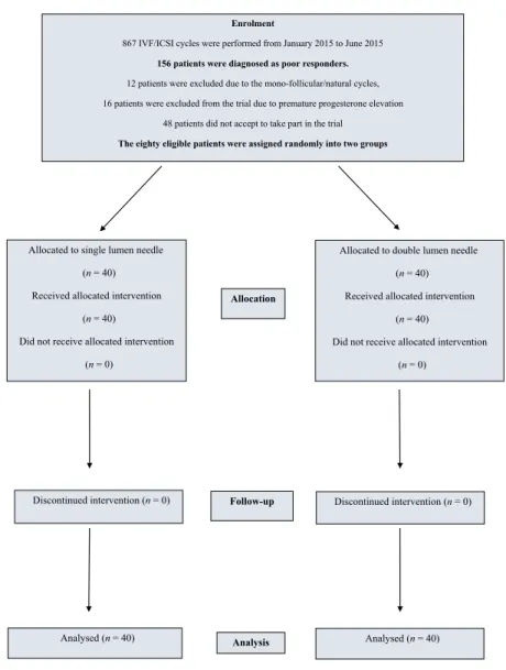Figure 1. Flow diagram.