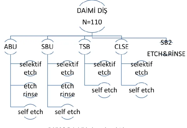Şekil 3.4. Süt dişlerinde grupların dağılımı 