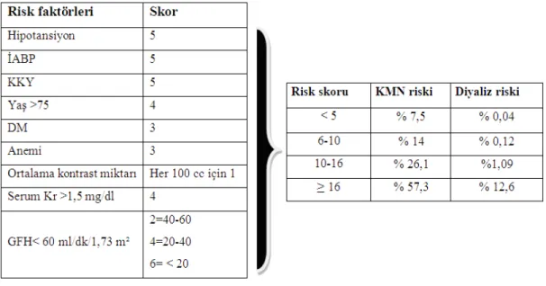 Şekil 3: Mehran Risk Skorlama Yöntemi (15) 