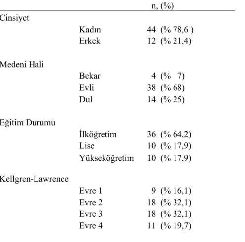 Tablo 3.1: Hastaların demografik özellikleri ve radyolojik osteoartrit evrelemeleri  