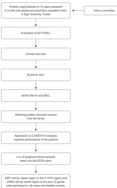 Figure 1 Flow diagram of study design and diagnostic procedures. ADHD-RS-IV = Attention-Deficit/Hyperactivity Disorder Rating Scale-IV; BCAS = Barkley’s Child Attention Survey; bp = base pair; CNSVS = Computerized Neurocognitive Assessment - Vital Signs; S