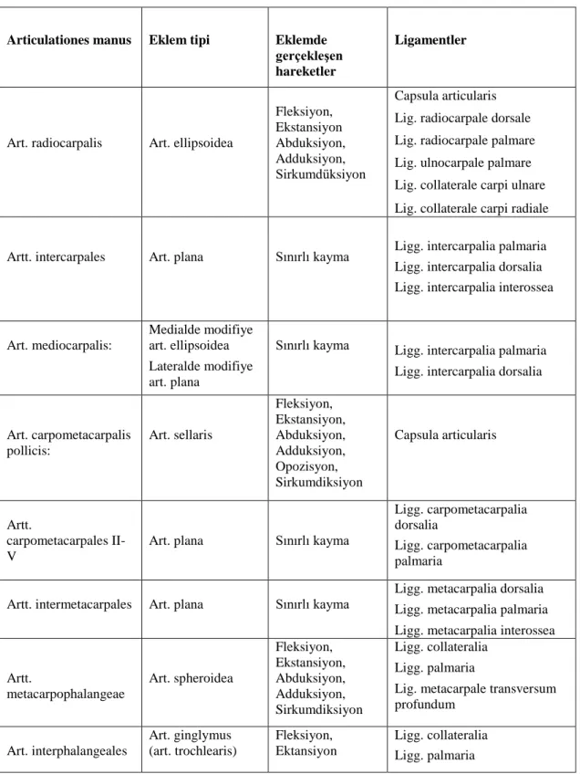 Tablo 2.2.2. El ve el bileği eklemleri, eklem tipleri,  eklemde gerçekleĢen hareketler ve eklem  ligamentleri 