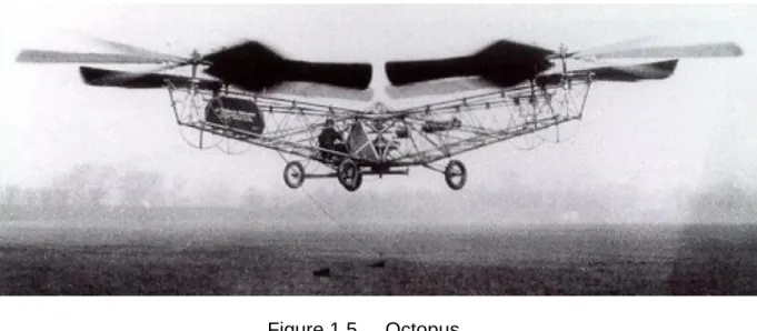 Figure 1.5     Octopus 