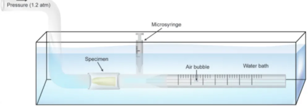 Fig. 1  Schematic illustration of the modified fluid filtration model used in this study.