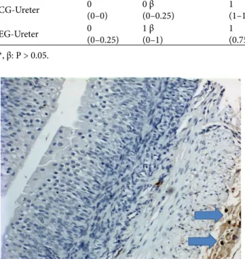 Figure 3. The comparison of ICC distribution in the pelvis and 