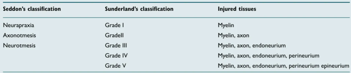 Table 1.  Seddon and Sunderland classification of peripheral nerve injury