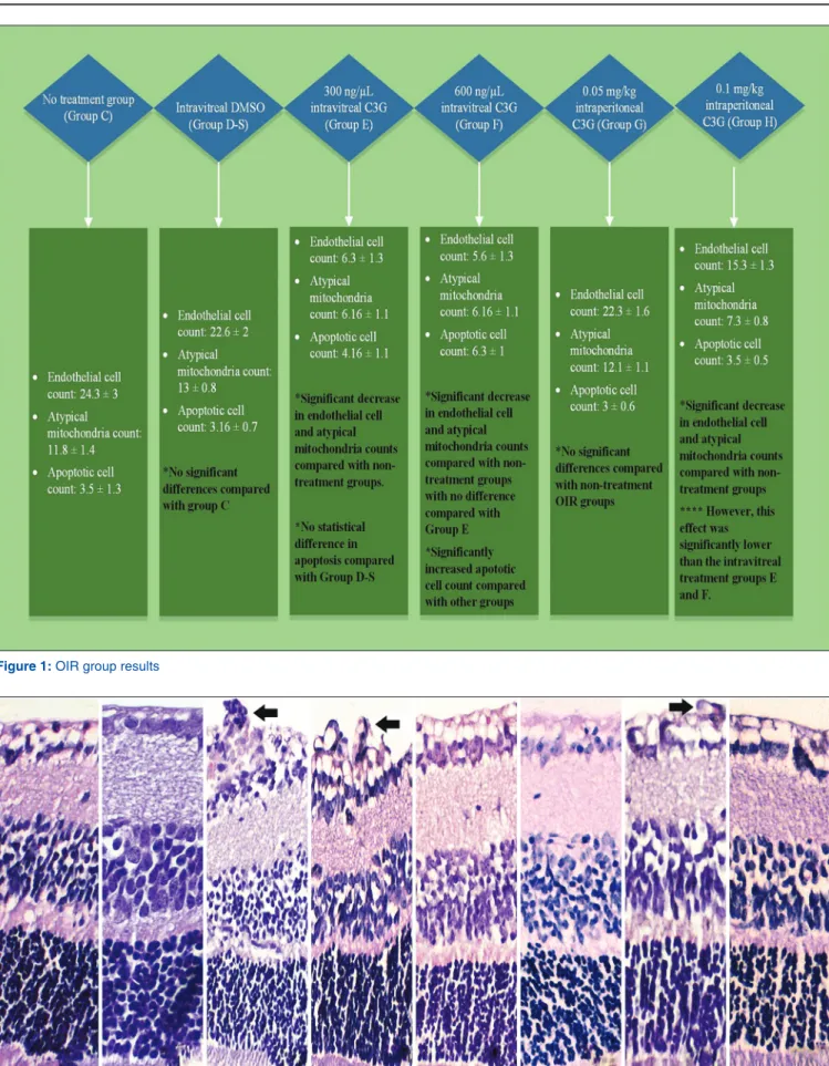 Figure 1: OIR group results