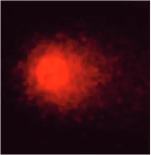 Figure 1. Appearance of a cell with comet scoring 0.