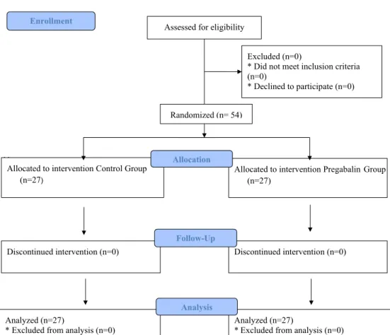 Figure 1. CONSORT flow diagram of the present study.