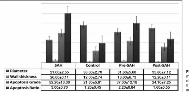 Figure 3: The 
