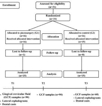 Figure 4.  CONSORT flow chart and timeline of the study.Figure 3.  Schematic illustrations of landmarks and variables used in dental 