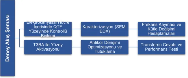 Şekil 2.1. Deney akış şeması 