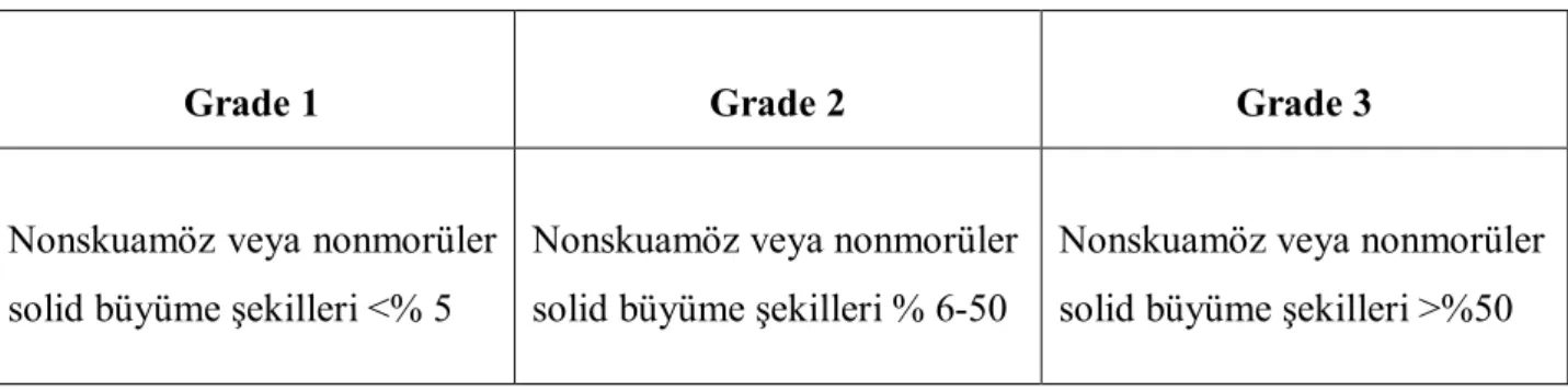 Tablo 2.5. Endometriyal Tümörlerde  Evreleme  