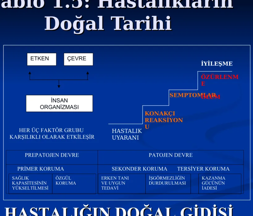 Tablo 1.5: Hastalıkların 