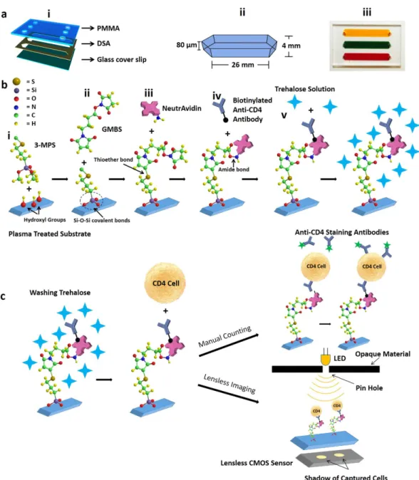 Figure 1.  Microfluidic device assembly, surface functionalization, and CD4 T cells counting