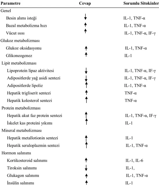 Tablo 2.5. Lökositik sitokinlerin metabolizma üzerinde etkileri 