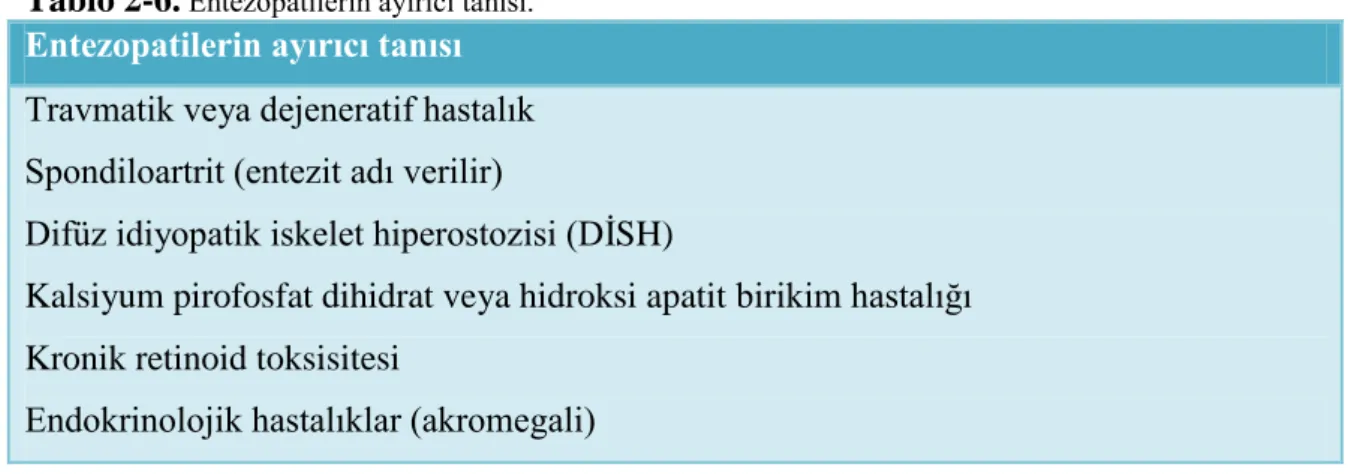 Tablo 2-7.  SpA'lara göre entezit sıklığı.