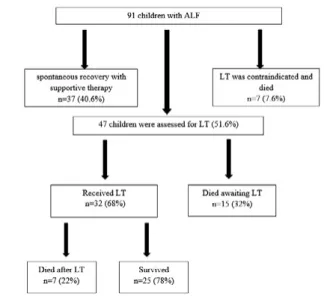 Figure 3. Postoperative cumulative survival rate of patients with ALF who  underwent liver transplantation at 1, 5, and 10 years (81.3%, 81.3%, and 75%)Figure 2