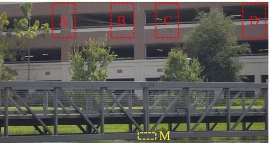 Figure 7 , top row). In this strategy, there is neither frame nor tracking location update and the displacement at every single time point is independent of the others