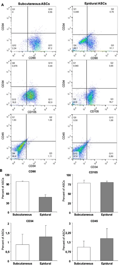 Figure 2. Cell surface marker expression for subcutaneous and epidural ASCs (A). Flow cytometry analysis results showed that both the 