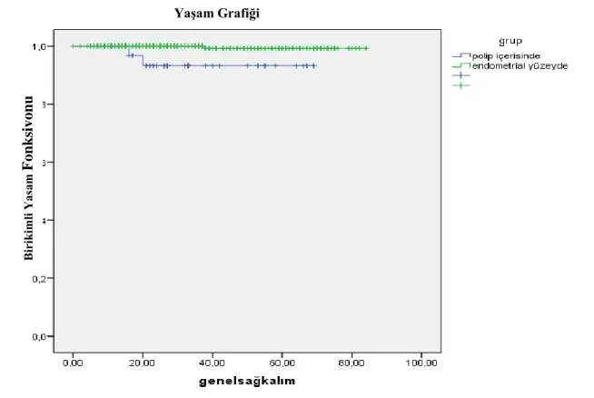 Şekil 4.2. Her iki grup için  Kaplan-Meier sağkalım eğrileri                                                            Yaşam Grafiği  Birikimli YaşamFonksiyonu