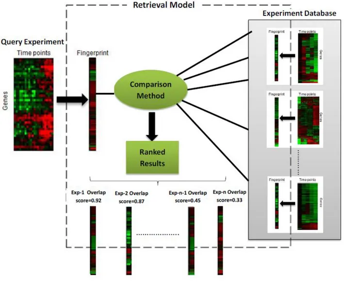 Figure 2.1 Overview of the proposed retrieval framework 