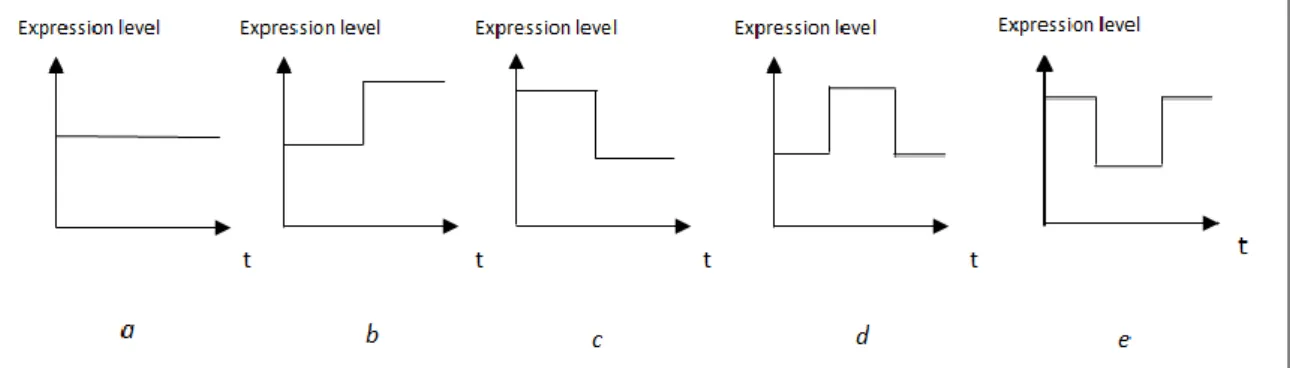 Figure 2.2 Transition models to represent expression levels of genes