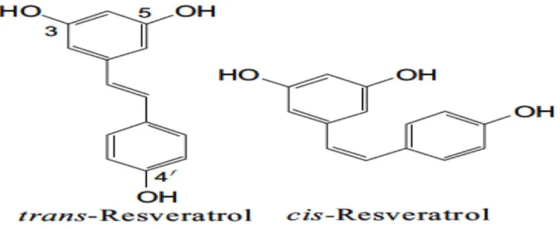 Şekil 2.1 Resveratrolün izomerleri 