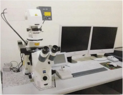 Şekil 3.8 Lazer Taramalı Konfokal Mikroskop (ZEISS LSM 510 META) 