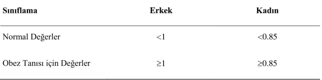 Tablo 3.3.3.Bel/kalça oranı değerlendirme kriterleri 