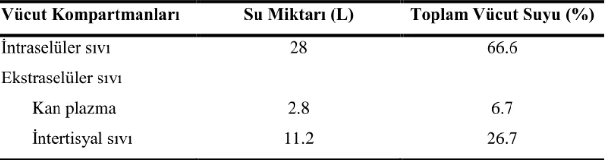Tablo 2.6. Vücut suyunun kompartmanlara göre dağılımı  