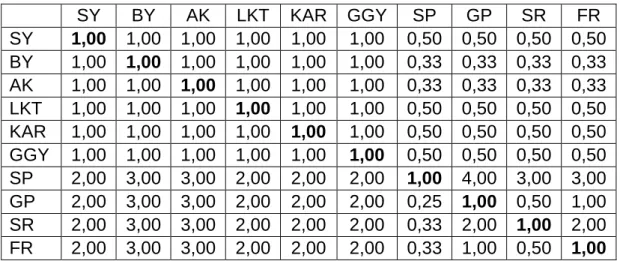 Çizelge 5.1 Faaliyet Performansına Göre İkili Karşılaştırma Matrisi 