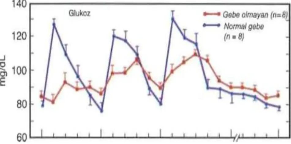 Şekil 3. Normal bir geç dönem gebelikte plazma glukoz düzeyi değişimleri (33). 