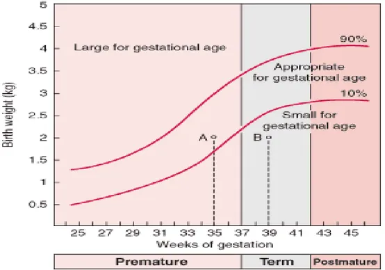 Şekil 4.Lubchenco büyüme eğrisine göre SGA-LGA-AGA tanımlaması (76) 