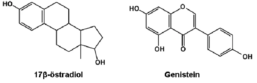 Şekil 4.1: Genistein ve 17β-östradiolün kimyasal yapısı (24). 