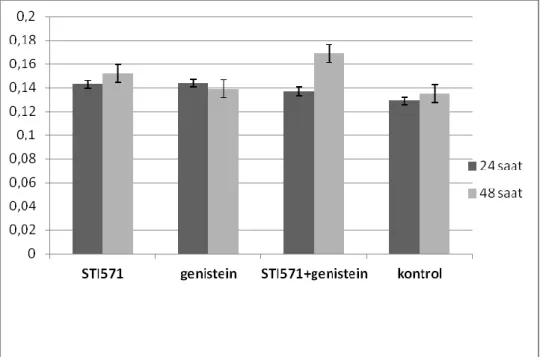 Grafik 6.1:  24 ve 48 saat  BCR-ABL protein düzeyleri 