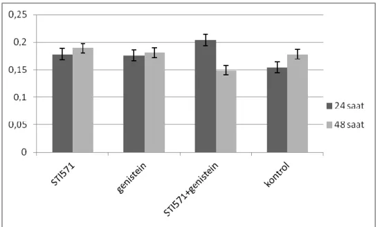 Grafik 6.3: 24 ve 48 saat GAB2 Protein düzeyleri 
