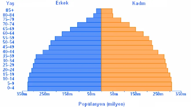 Şekil 2.3. Dünya Nüfusunun Yapısı 2050 