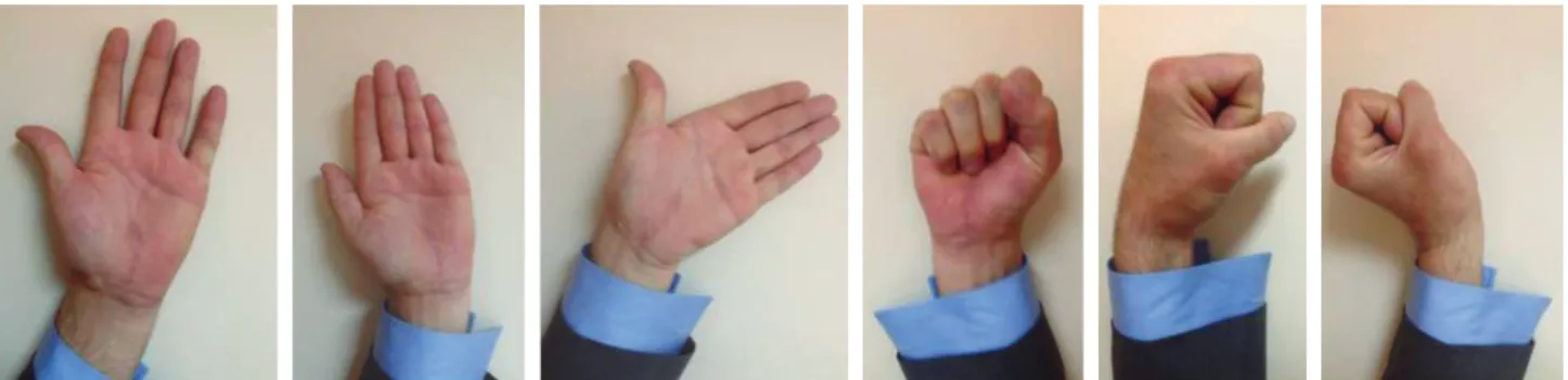 Fig. 4.  Posteroanterior and lateral radiographs at the last follow-up  examination.