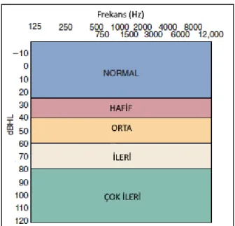 Şekil 8. İşitme Kaybı Derecelerin Kategorisi